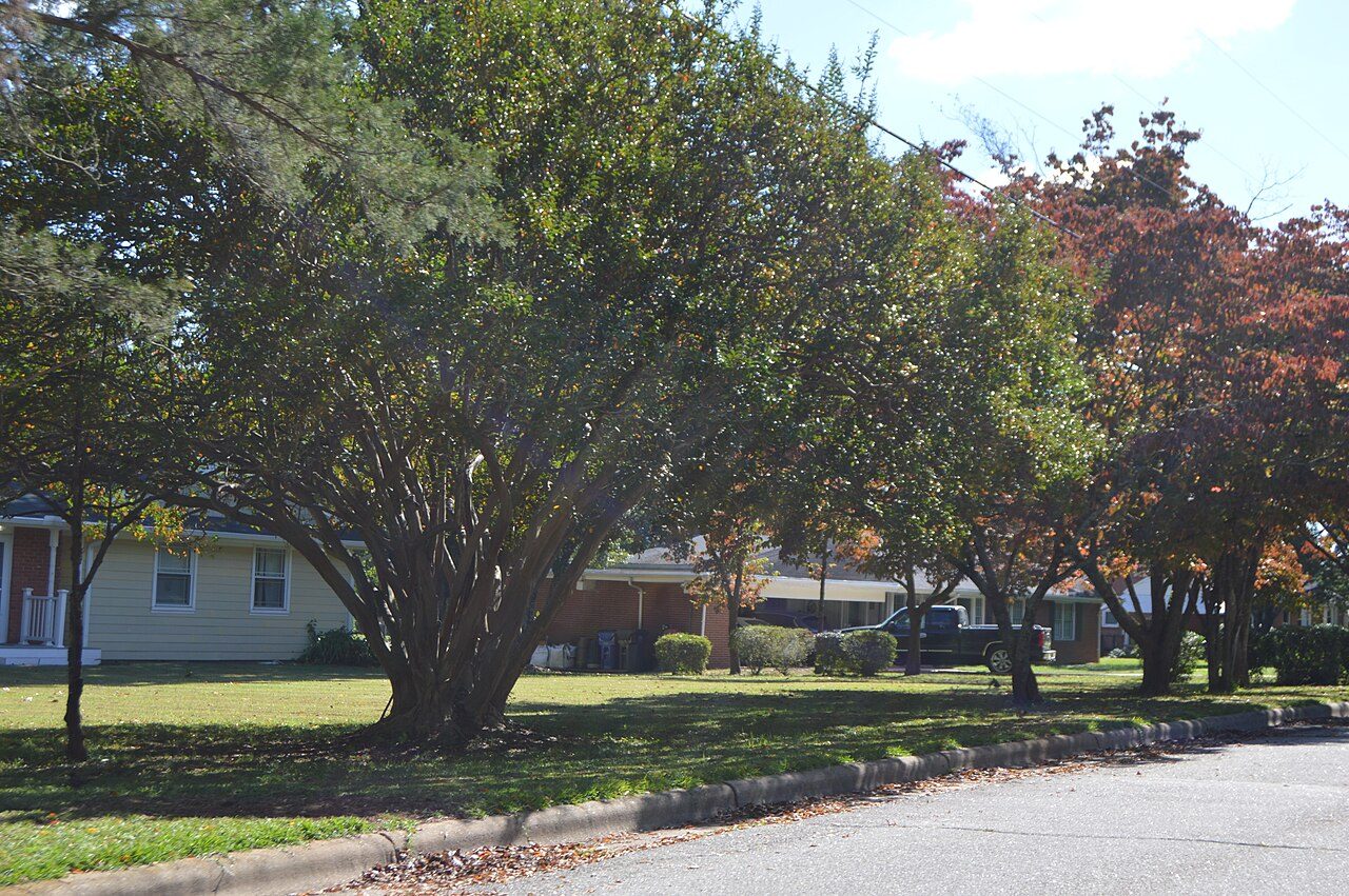 Houses on Lord Berkley Road, Longview Gardens Historic District