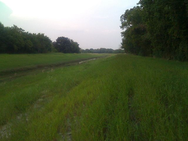 Creek near Westpark Tollway
