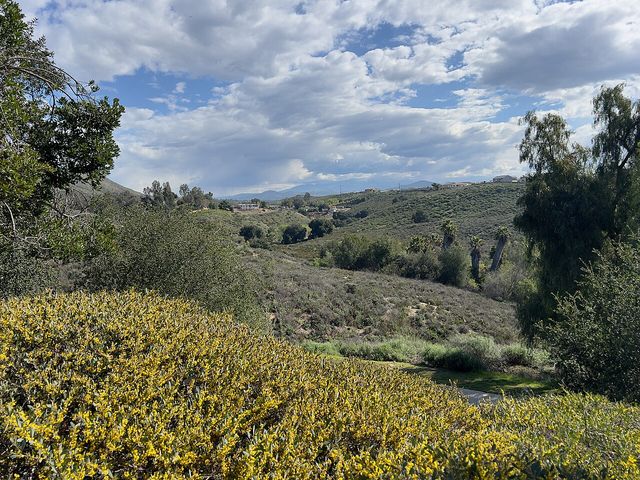 View from Warm Springs Park and Preserve summit