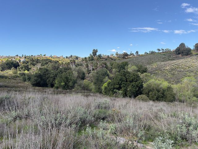 Warm Springs Creek in Warm Springs Park and Preserve