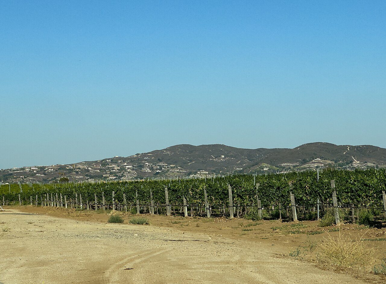 Oak Mountain from Temecula Wine Country