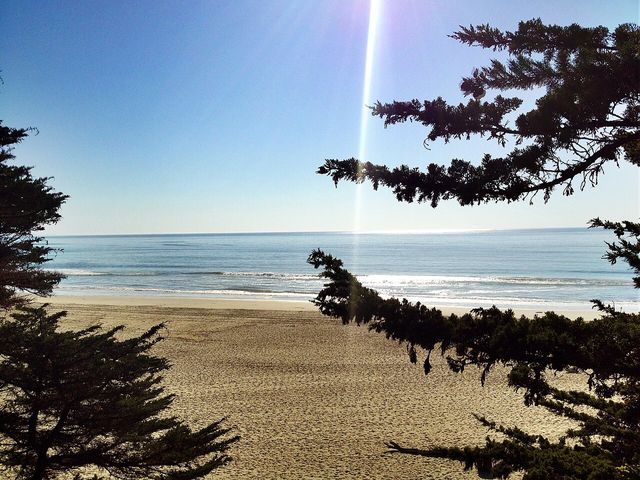Sunset Beach and Park near Watsonville