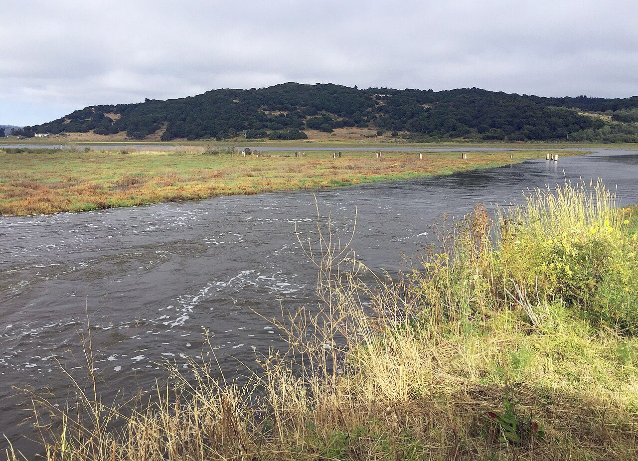 Mouth of Carneros Creek at Elkhorn Slough